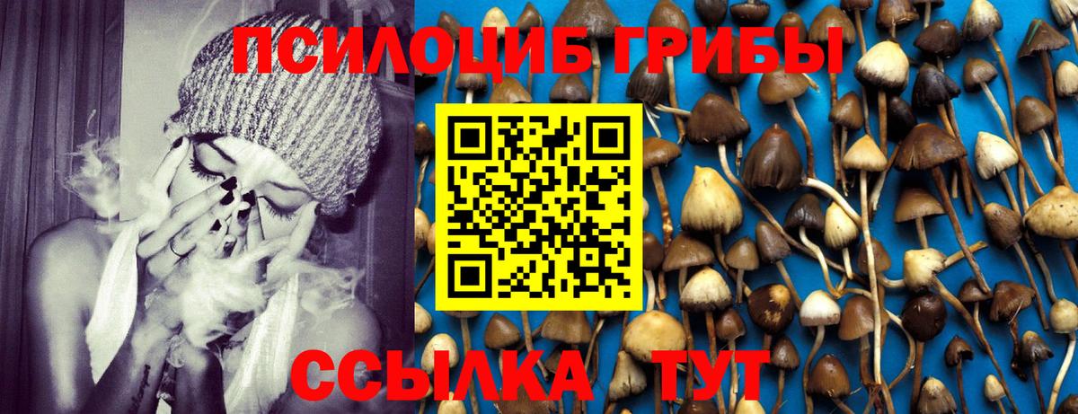 Галлюциногенные грибы мухоморы  Вход с VPN  Галлюциногенные грибы мицелий  Барабинск 