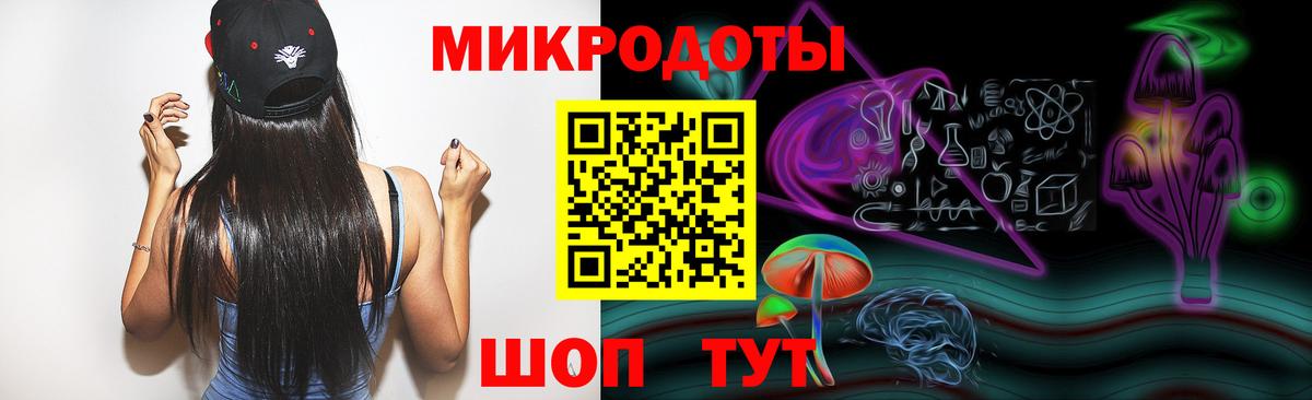 Псилоцибиновые грибы Psilocybe Барабинск